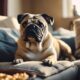 ideal dog breeds for sedentary lifestyle