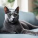 cat breeds for busy