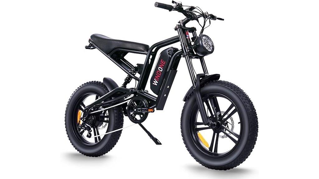 adult electric bicycle model