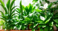 indoor plants for air purification