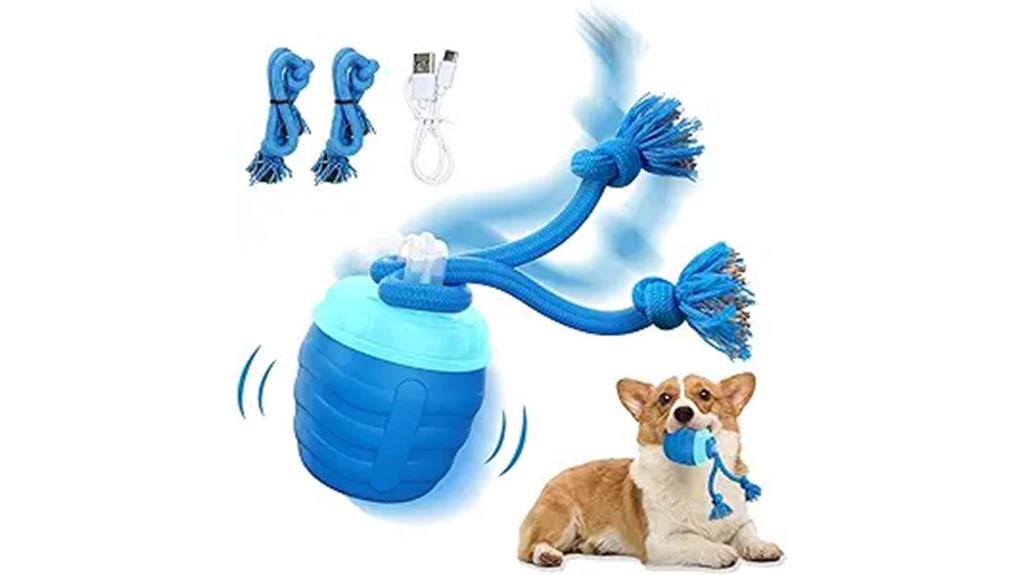 blue interactive dog ball