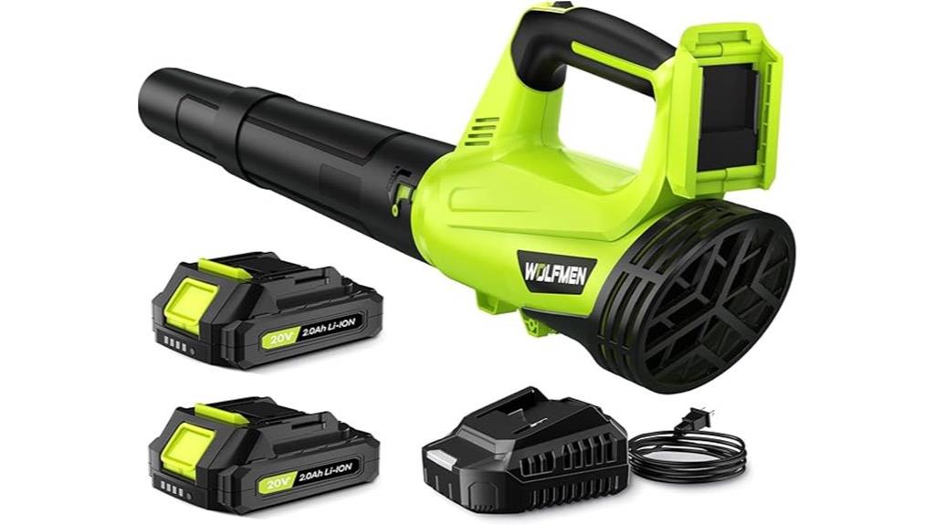 cordless leaf blower set