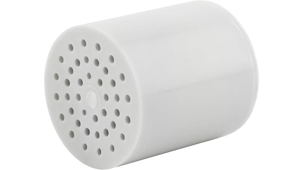 high output shower filter