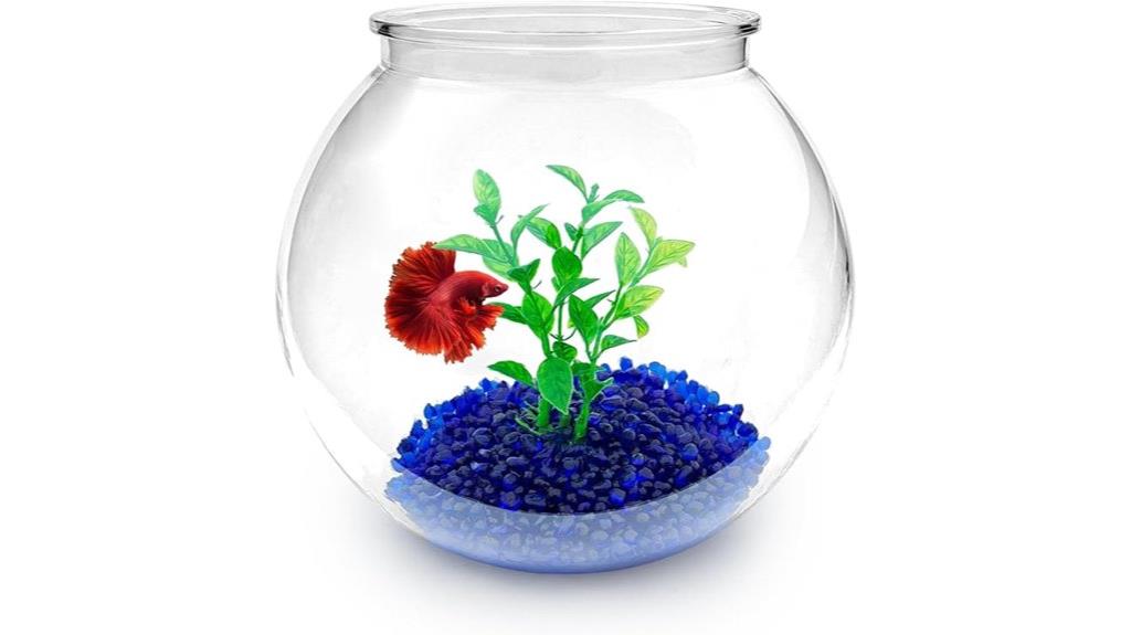 mini aquarium starter kit