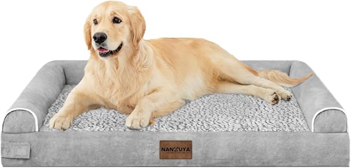 orthopedic large dog bed