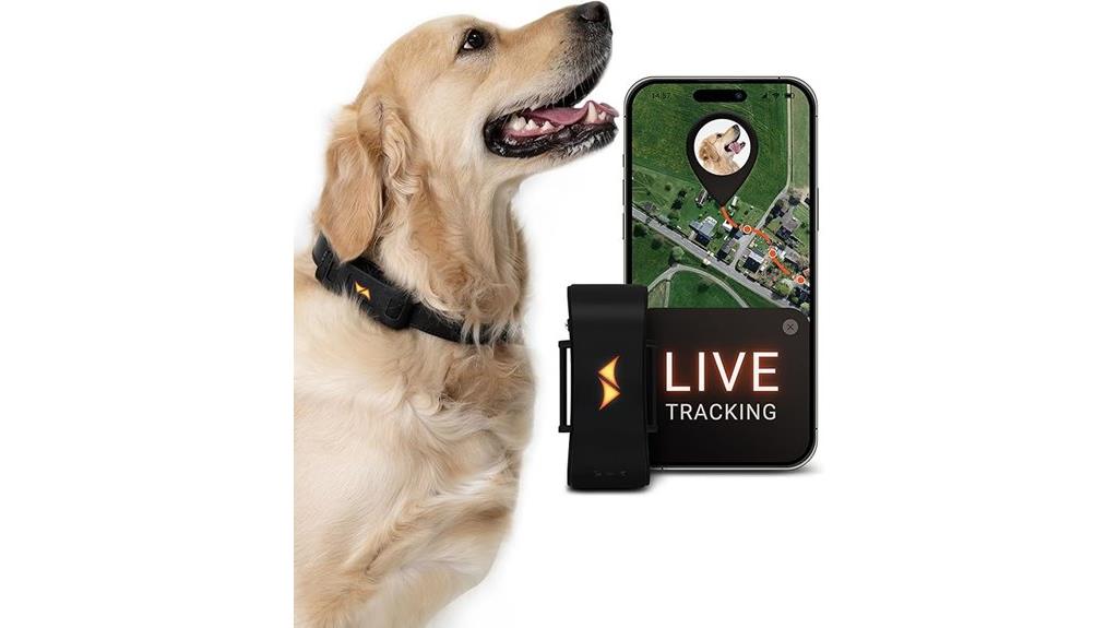 real time 4g dog tracker
