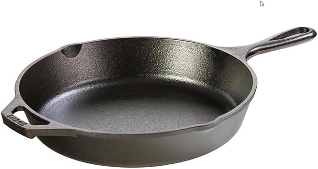 ten inch cast iron skillet