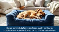 top orthopedic dog beds