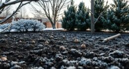 prepare spring garden early