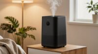 choosing between humidifier and air purifier