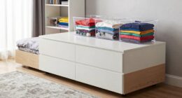storage solutions for clutter