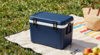 versatile coolers for outings