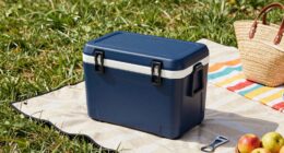 versatile coolers for outings