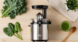 12 Best Cold Press Juicers for Leafy Greens in 2026