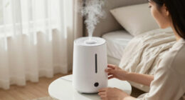 12 Best Quiet Humidifiers for Large Bedrooms in 2026