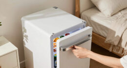 14 Best Mini Fridges for Bedrooms in 2026