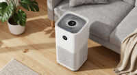 7 Best Large Room Air Purifiers for Pet Dander in 2026