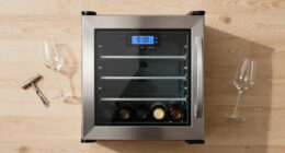 8 Best Wine Fridges With Dual Temperature Zones in 2026