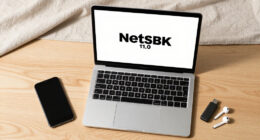 NetBSD 11.0