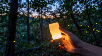 How The Vallon Creux Fireflies Inspired “Luciole”