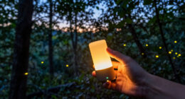 How The Vallon Creux Fireflies Inspired “Luciole”
